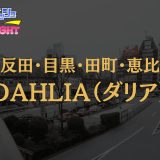 五反田・目黒等「DAHLIA（ダリア）」体験リスト｜華憐で妖艶な美女に完全降伏！ぬくもり溢れるオールハンド密着で骨抜き確定【Vol.55】