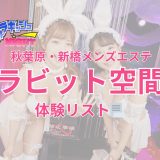 秋葉原・新橋「ラビット空間（旧うさぎちゃんスパ）」体験リスト｜口コミ・料金・アクセス・セラピスト詳細